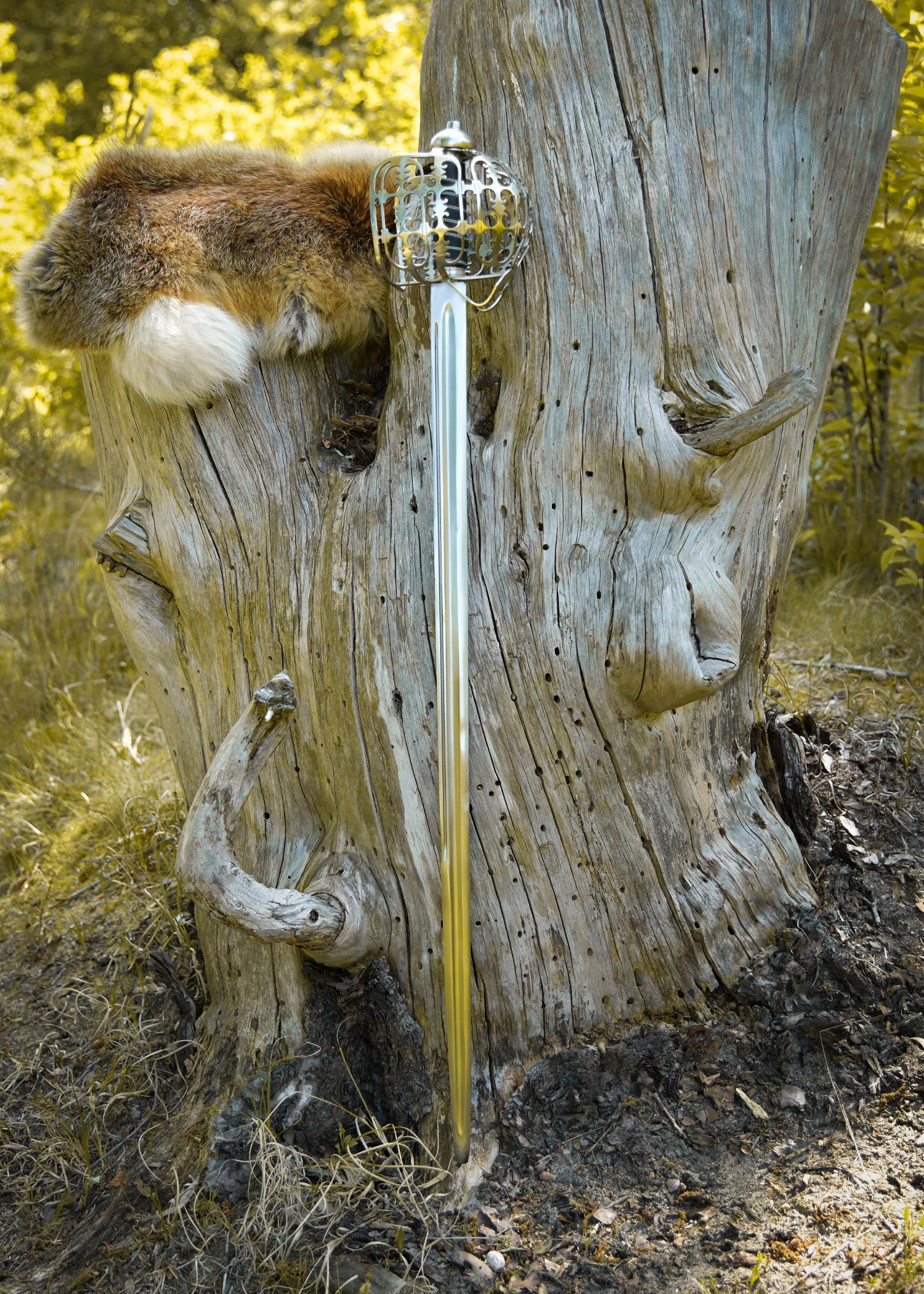 ?psc proxy image=1&product id=31640&image id=107648 - &Eacute;p&eacute;es &agrave; panier : la garde qui a chang&eacute; le combat et l'histoire