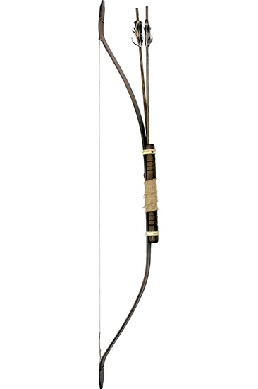 ?psc proxy image=1&product id=4612&image id=10968 - Arcs et archers médiévaux : guide épique et pratique sur l'histoire, les techniques et l'équipement