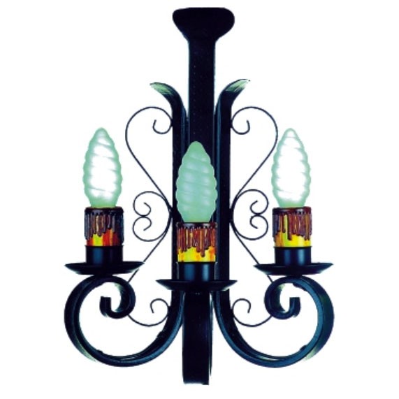 ?psc proxy image=1&product id=6019&image id=16001 - Appliques en Fer Forgé : Résistance, Art et Symbolisme dans la Décoration Actuelle