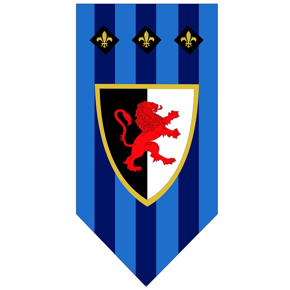 ?psc proxy image=1&product id=8189&image id=21681 - Étendards et Drapeaux Médiévaux : Symboles d'Honneur et Guides au Combat