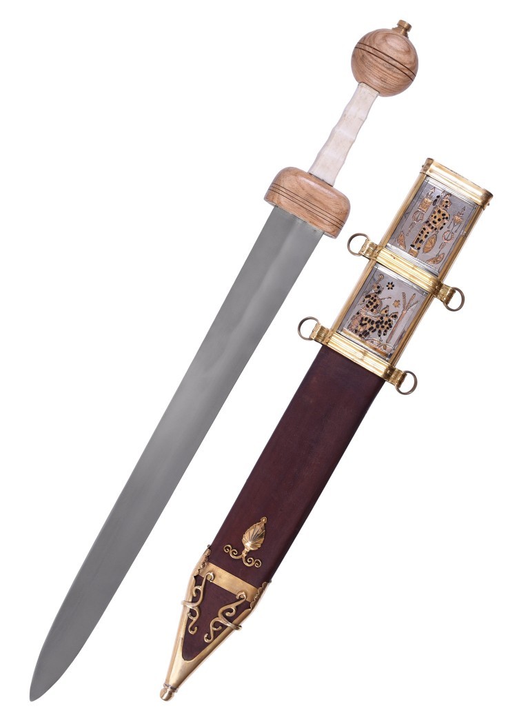 ?psc proxy image=1&product id=9451&image id=24772 - Épée Gladius de Jules César : histoire, design et héritage de l'arme qui a forgé un empire