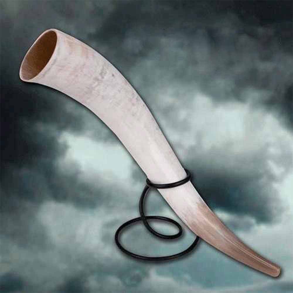 ?psc proxy image=1&product id=9461&image id=24792 - Cornes vikings : histoire, symbolisme et comment choisir la vôtre