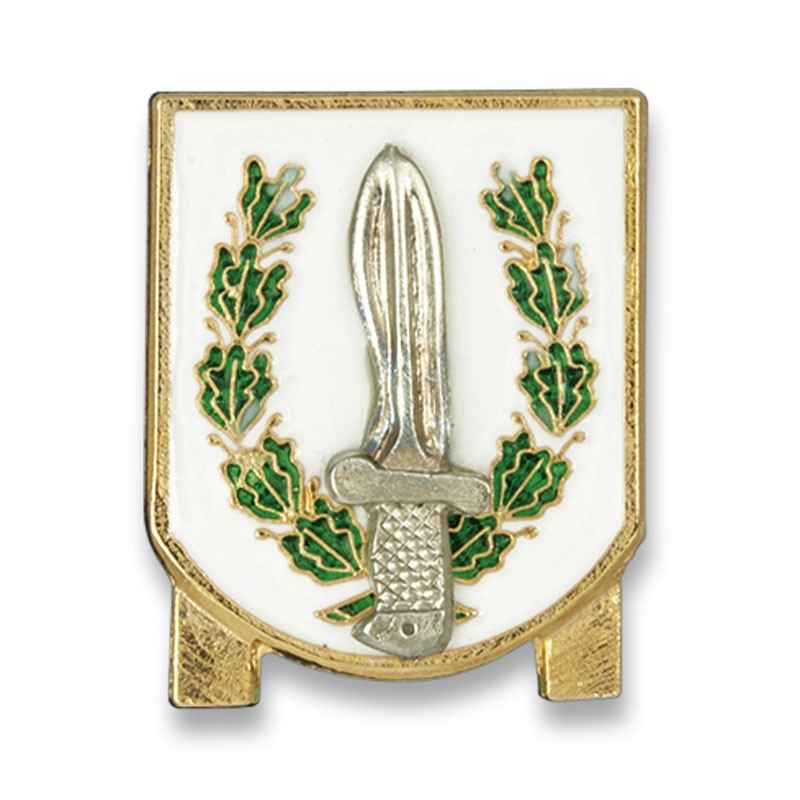 Insigne de permanence du GOE