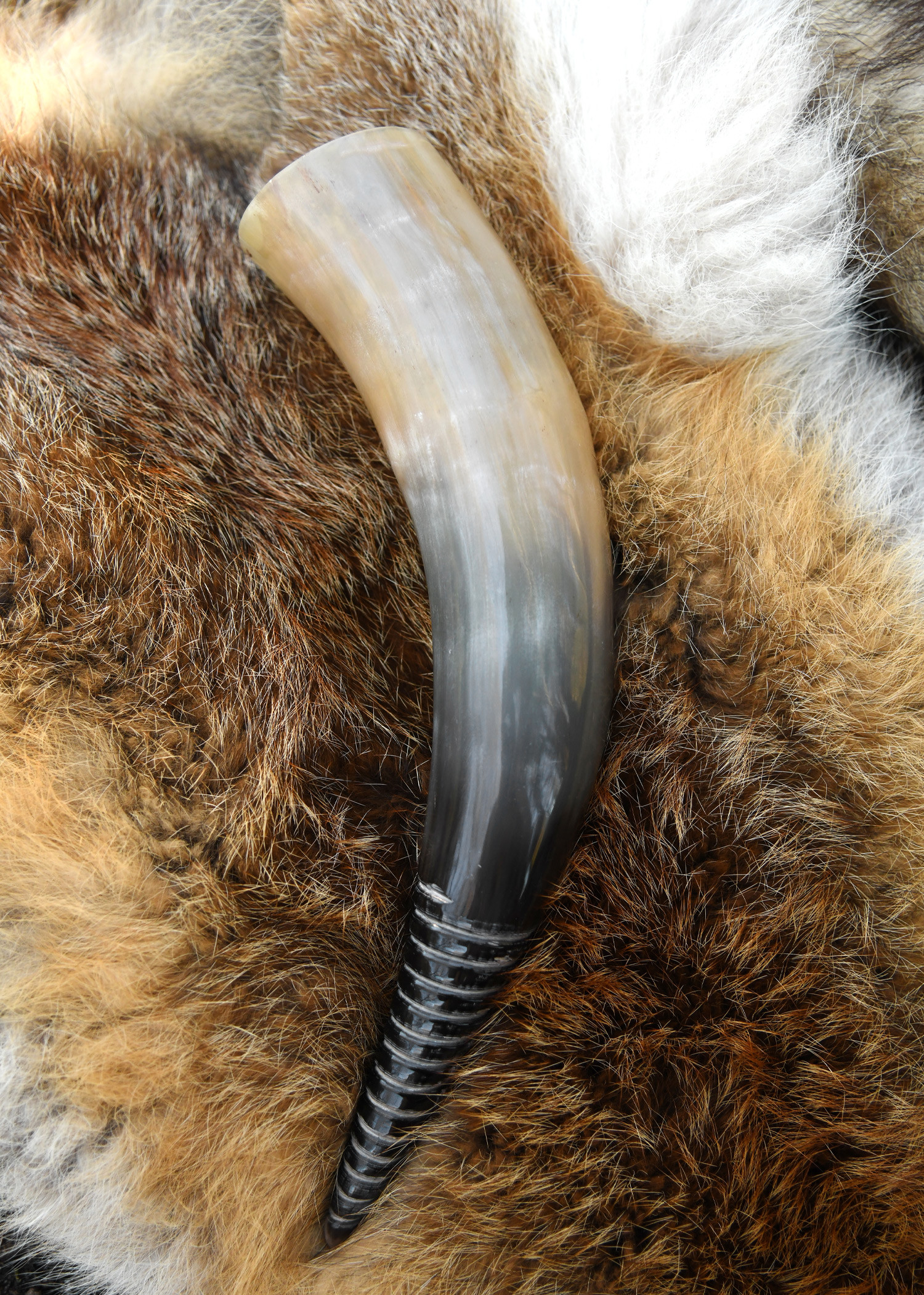 Corne viking avec design en spirale (250 ml.)