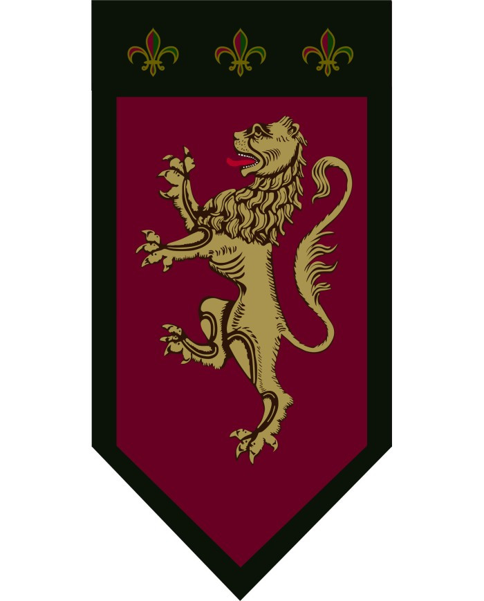 ?psc proxy image=1&product id=29891&image id=98731 - Étendards et Drapeaux Médiévaux : Symboles d'Honneur et Guides au Combat