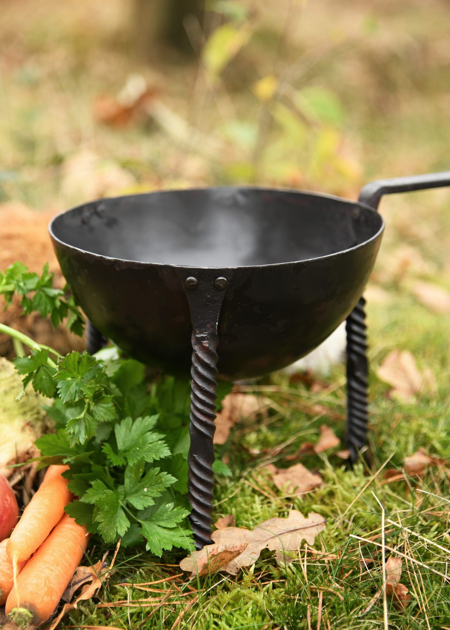 ?psc proxy image=1&product id=29938&image id=98896 - Couverts Médiévaux : Un Fascinant Voyage de la Cuillère en Bois à la Fourchette de Luxe