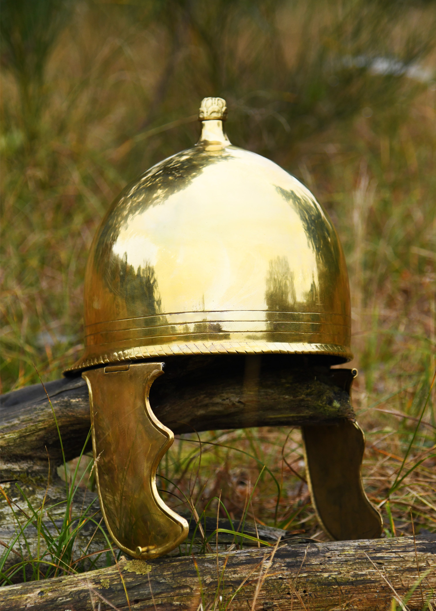 ?psc proxy image=1&product id=30077&image id=99674 - Casque de gladiateur thrace : histoire, design et répliques du heaume à griffon