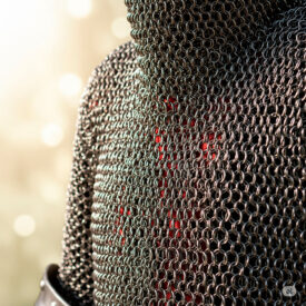 cottes de mailles et bourreaux un voyage a travers larmure medievale de son histoire a son entretien 275x275 - Lorica Segmentata : L'Armure Iconique de la Légion Romaine Dévoilée